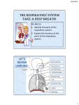 1. What is the respiratory system?