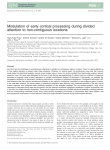 Modulation of early cortical processing during divided attention to