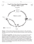 The Nitrogen Cycle Simplified