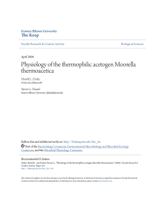 Physiology of the thermophilic acetogen Moorella - The Keep
