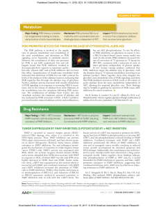 Metabolism Drug Resistance