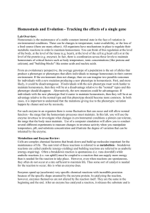 Homeostasis Invertase