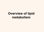 Lipid Overview