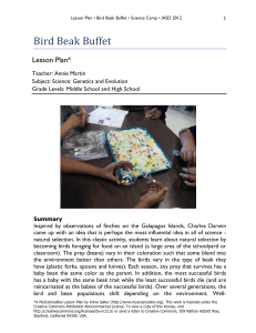 Bird Beak Buffet! - Iditarod Area School District – Theme