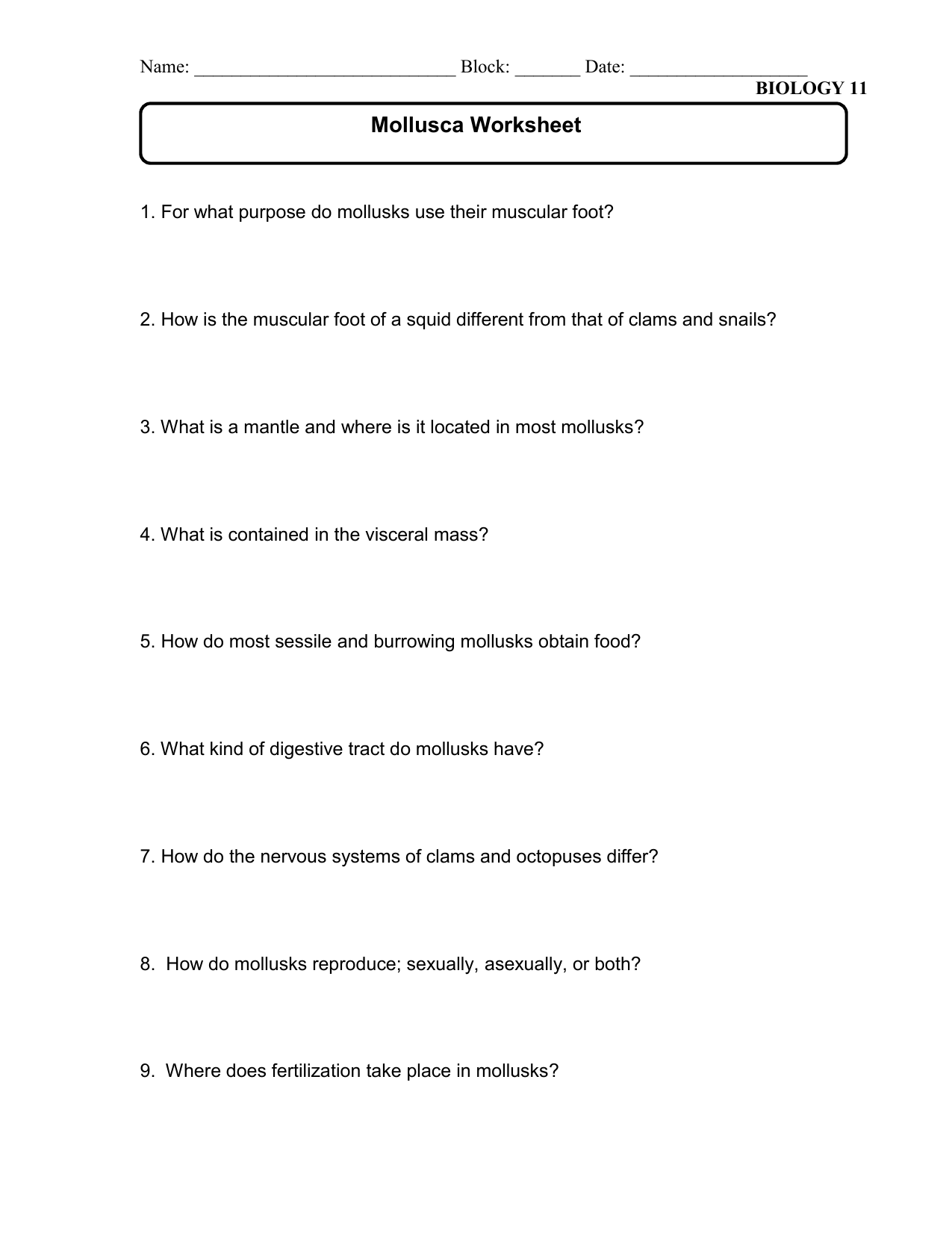 Mollusks worksheet 1 answer key