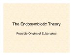 The Endosymbiotic Theory