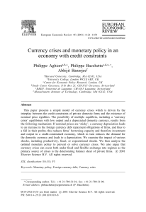 Currency crises and monetary policy in an economy with credit