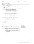 Levels of Organization