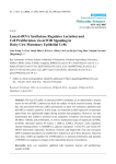 Full-Text PDF