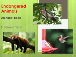 Endangered Animals