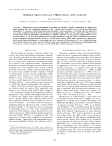 Ethological Aspects of Stress in a Model Lizard, Anolis carolinensis1