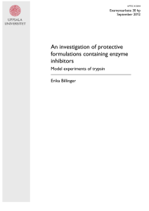 An investigation of protective formulations containing