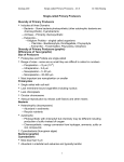 Single-celled Primary Producers Diversity of Primary Producers