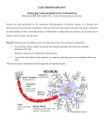 ELECTROPHYSIOLOGY Measuring Action potential