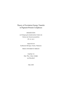 Theory of Excitation Energy Transfer in Pigment - diss.fu