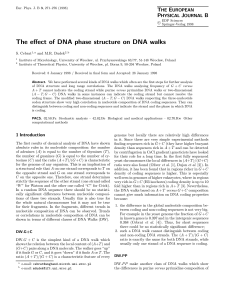 The effect of DNA phase structure on DNA walks