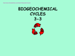 biogeochemical cycles 3-3