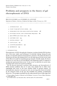 Problems and prospects in the theory of gel electrophoresis