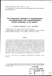 The comparative estimation of phytoplanktonic, microphytobenthic