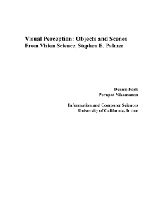 Visual Perception: Objects and Scenes