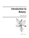 Introduction to Botany - Materials of Alexey Shipunov