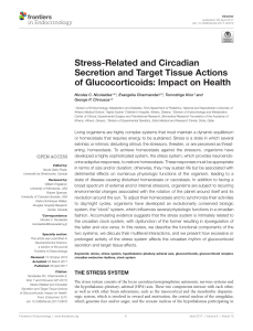Stress-Related and Circadian Secretion and Target Tissue Actions