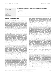 Anaerobic protists and hidden mitochondria