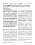 Heritable endogenous gene regulation in plants with designed