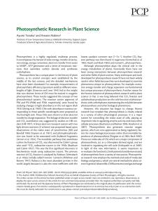 Photosynthetic Research in Plant Science