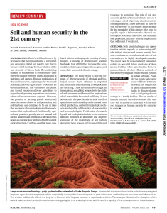Soil and human security in the 21st century