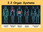 3.2 Organ Systems - SCIENCE WITH MR Z