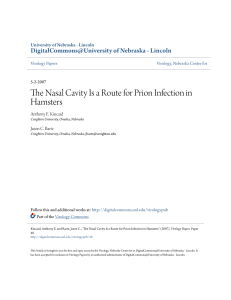 The Nasal Cavity Is a Route for Prion Infection in Hamsters