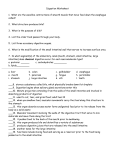 Digestion Worksheet - Holy Spirit High School