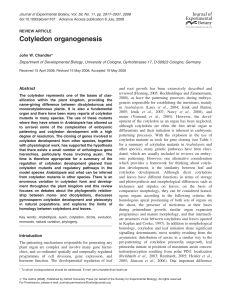 Cotyledon organogenesis - Journal of Experimental Botany