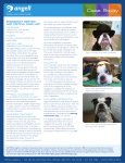 Case Study - MSPCA