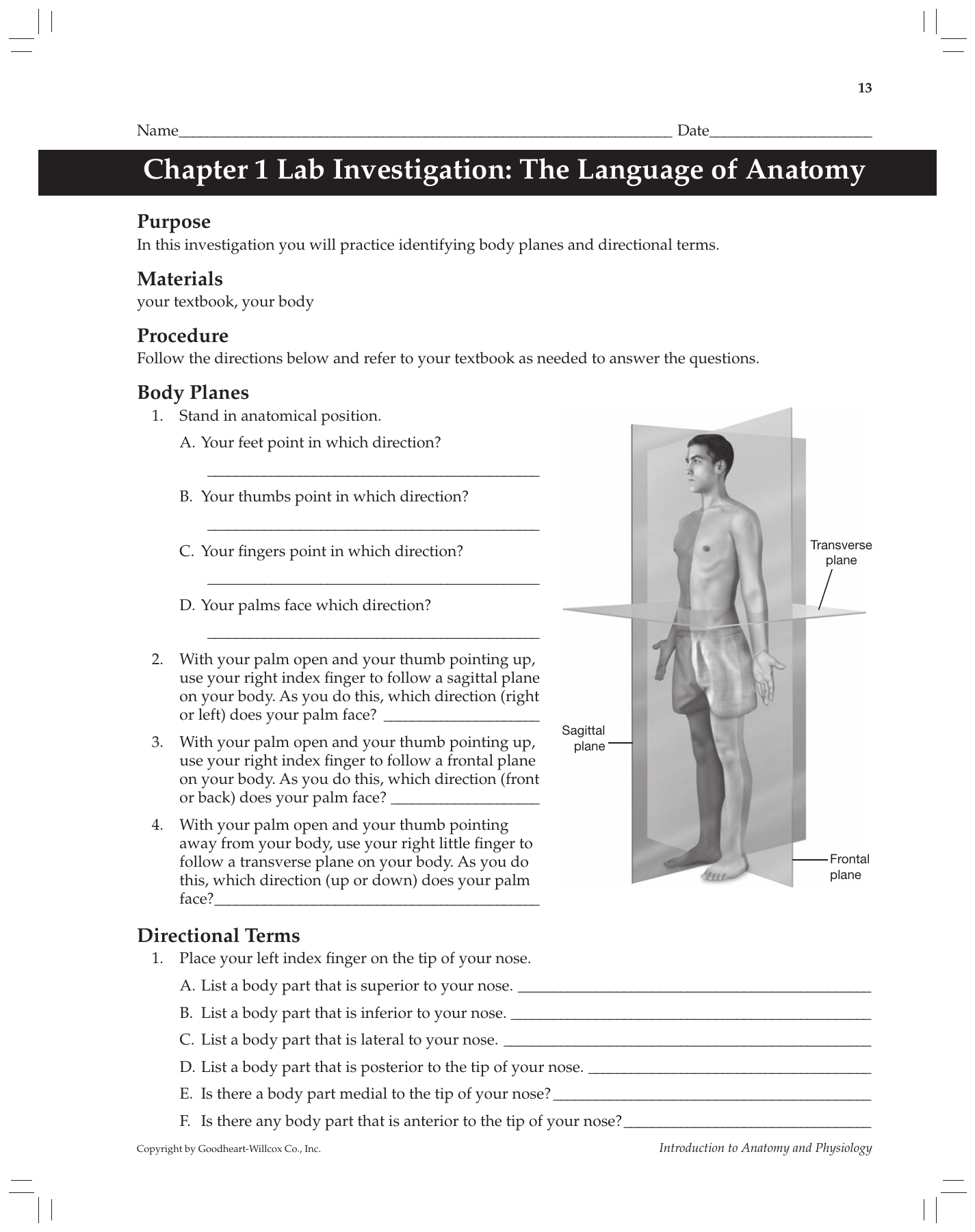 anatomy-and-physiology-coloring-workbook-answer-key-chapter-1-2-interactive-anatomy-and
