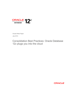 Consolidation Best Practices: Oracle Database 12c plugs you into