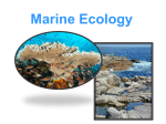 Level 2_ZOOL_03 - Marine Ecology