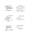 Nucleotide Synthesis Nucleotides Origin of Atoms Nucleotide