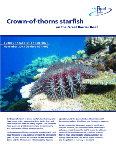 Crown-of-thorns starfish