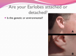 Are your Earlobes attached or detached?