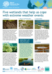 Five wetlands that help us cope with extreme weather events