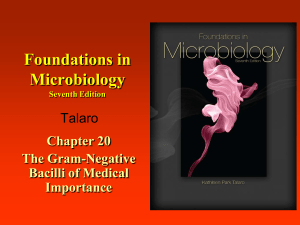 Foundations in Microbiology