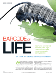 Barcode of Life - Program for the Human Environment