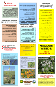 noxious weeds - Deschutes County