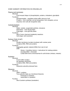 SOME SUMMARY INFORMATION ON ORGANELLES Plasma (cell