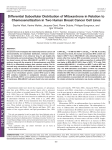 Differential Subcellular Distribution of Mitoxantrone in