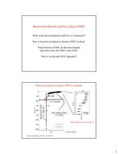 Bacterial production and the cycling of DOC