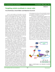 Targeting protein synthesis in cancer cells (PDF Available)
