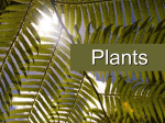 14.0 Describe Principles of Plant Growth Production 14.2 Explore